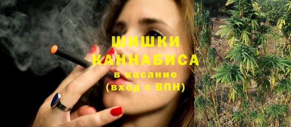 амф Бронницы