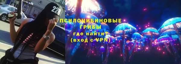 амф Бронницы