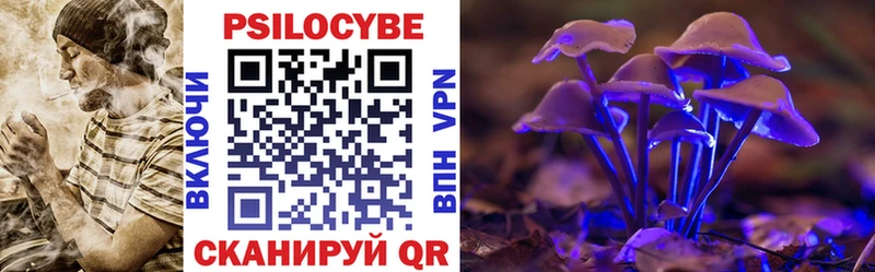 Галлюциногенные грибы GOLDEN TEACHER  магазин продажи наркотиков  Давлеканово 
